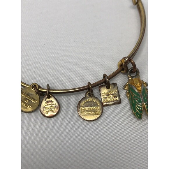 Alex and Ani Charity by Design Grasshopper Charm Bangle Bracelet - Picture 3 of 6